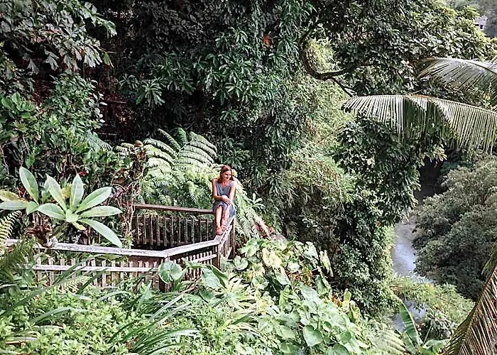 Adiwana Svarga Loka - A Retreat 4* Ubud (Bali)